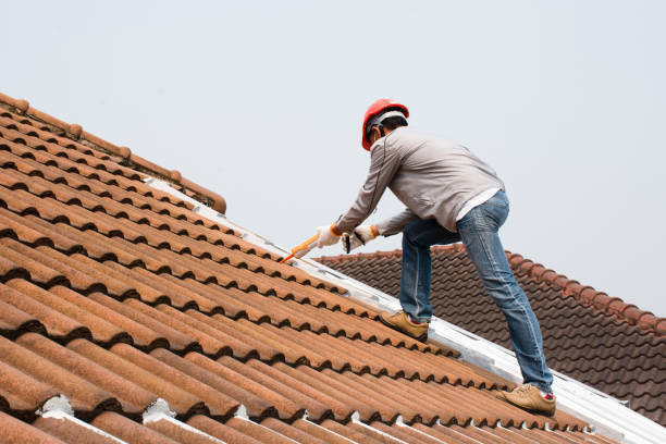 Best Tile Roofing Installation  in Norman Park, GA