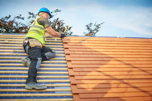 Best Roofing for New Construction  in Norman Park, GA