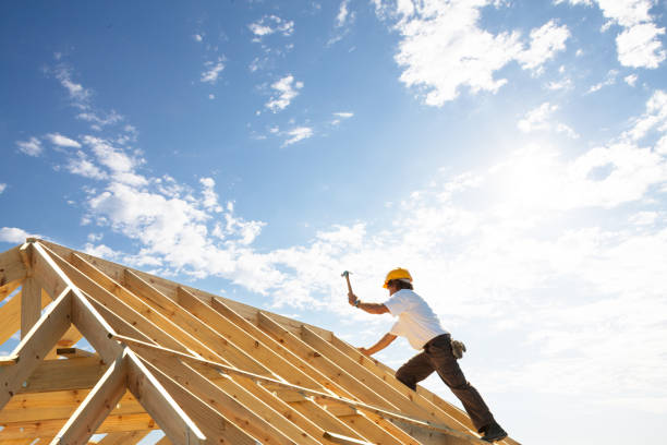 Best Roof Insulation Installation  in Norman Park, GA