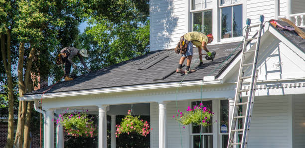 Best Roof Installation  in Norman Park, GA